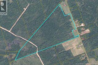 Commercial Land for Sale, Woodlot Ridge Road, Chipman, NB