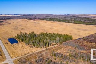 Land for Sale, 901 Sec Hwy 681 Hi, Rural Saddle Hills County, AB