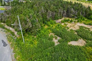 Commercial Land for Sale, Lot 1 Judy's Place, Flatrock, NL