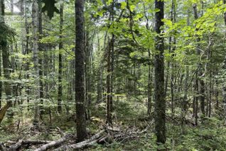 Commercial Land for Sale, Lot 17 Pine Island Drive, Labelle, NS