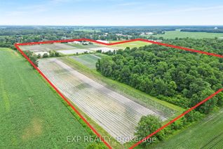 Residential Farm for Sale, 11 Tucker St, Newbury, ON