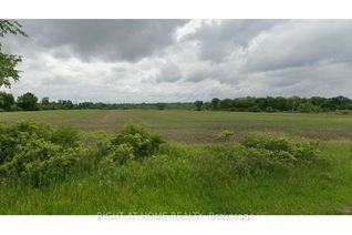 Farm for Sale, N/A Burger Rd, Fort Erie, ON