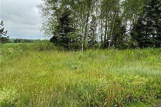 Property for Sale, 141 Drummond Station Road, Drummond, NB