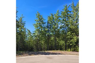 Vacant Residential Land for Sale, 4 Dempsey Place, Elkford, BC