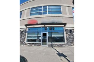 Office for Sale, 5560 Windermere Bv Nw Nw, Edmonton, AB