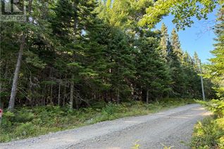 Property for Sale, 3.5 Acre Bossman Drive, Blackville, NB