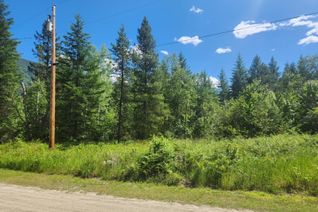 Vacant Residential Land for Sale, 1073 Kooznetsoff Road, Castlegar, BC