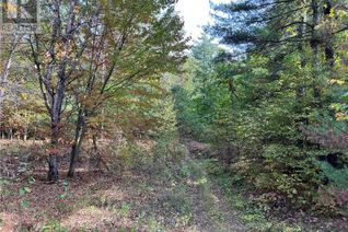 Land for Sale, Lt 13 Con. 8 Constant Lake Road, Eganville, ON