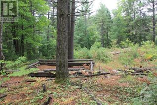 Land for Sale, 1068a Jacques Bay Road, Addington Highlands, ON