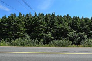 Land for Sale, 160-166 Creston Boulevard, Marystown, NL