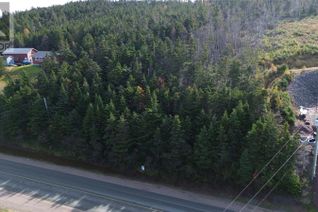 Land for Sale, 160-166 Creston Boulevard, Marystown, NL