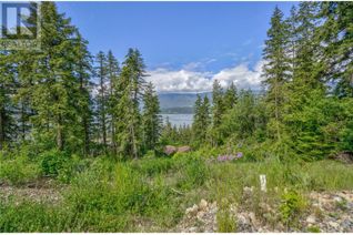 Land for Sale, 3541 20 Street Ne, Salmon Arm, BC