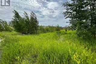 Industrial Property for Sale, Plan: 0525278 Block: 6 Lot 3 + 4, Valleyview, AB