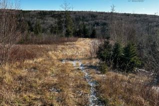 Land for Sale, Main Road, Hwy 336, Dean, NS