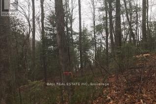 Commercial Land for Sale, 0 Elephant Lake, Dysart et al, ON