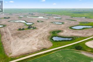 Commercial Farm for Sale, 1 Quarter Grainland Near Dysart (Hanlon), Lipton Rm No. 217, SK