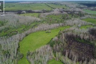 Commercial Farm for Sale, Ne-19-81-18-W5, Rural Northern Sunrise County, AB