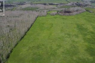 Farm for Sale, Se-19-81-18-W5, Rural Northern Sunrise County, AB