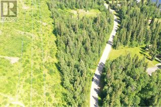 Land for Sale, Lot 1 Ten Mile Lake Road, Quesnel, BC