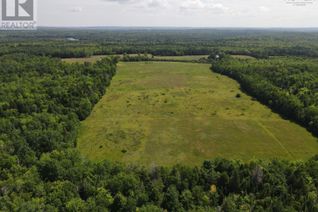 Land for Sale, Lot T1 Alton Road, East Dalhousie, NS