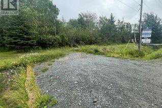 Land for Sale, 127 Trans Canada Highway, Appleton, NL