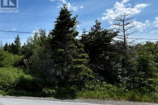 Land for Sale, 0 West Side Road, Green's Harbour, NL