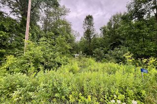 Land for Sale, 1481 Sulphide Rd, Tweed, ON