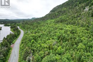 Commercial Land for Sale, 0 Emerald Vale Road, Emerald Vale, NL