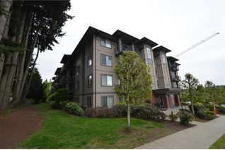 Condo for Sale, 33898 Pine Street #105, Abbotsford, BC