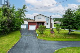 Detached House for Sale, 94 New Harbour Road, Spaniards Bay, NL