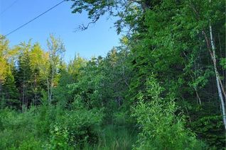 Land for Sale, Lot 79-20 Morton Lane, Cumberland Bay, NB