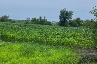 Commercial Farm for Sale, L24c8 Gibeault Road, Chesterville, ON