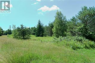 Commercial Land for Sale, Lot 95 Main Street, Chipman, NB