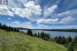 Land for Sale, 134-139 Salmon Cove Road, South River, NL