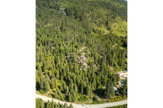 Commercial Land for Sale, Lot 1 Erie-Ross Spur Road, Salmo, BC