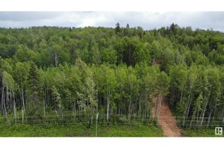 Commercial Land for Sale, Rr 45, Rural Brazeau County, AB