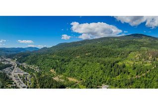 Land for Sale, 1402 Woodland Drive, Castlegar, BC