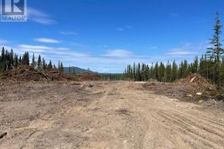 Land for Sale, Moe Road, Burns Lake, BC