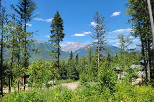 Vacant Residential Land for Sale, Lot 91 Montane Parkway #Proposed, Fernie, BC