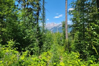 Vacant Residential Land for Sale, Lot 92 Montane Parkway #Proposed, Fernie, BC