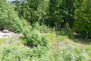 Land for Sale, 1365 Forest Road, Castlegar, BC