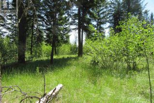 Commercial Land for Sale, 193 Bergstrom Road #LOT, Deka Lake / Sulphurous / Hathaway Lakes, BC