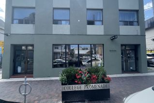 Office for Lease, 428 Ossington Ave #BSMNT, Toronto, ON