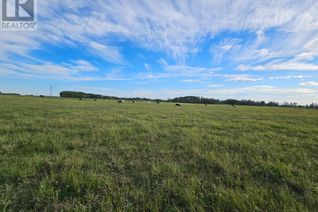 Land for Sale, On Range Road 11, Rural Red Deer County, AB