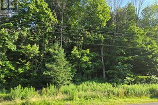 Land for Sale, 130 Old Highway 26, Meaford, ON