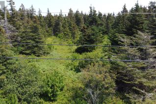 Land for Sale, 0 Mcnamara Crescent, Harbour Grace, NL