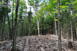 Land for Sale, Lot 26 West Court, Haliburton, ON