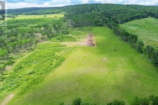 Commercial Land for Sale, 29572 Range Road 54, Rural Mountain View County, AB