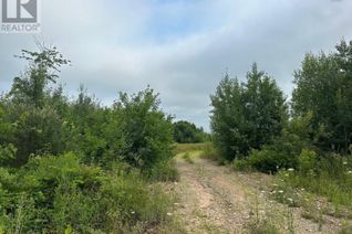 Commercial Land for Sale, Lot 2 Hall Road, Millville, NS