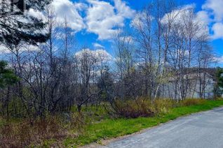 Land for Sale, 15 Barnes Road, Clarenville, NL